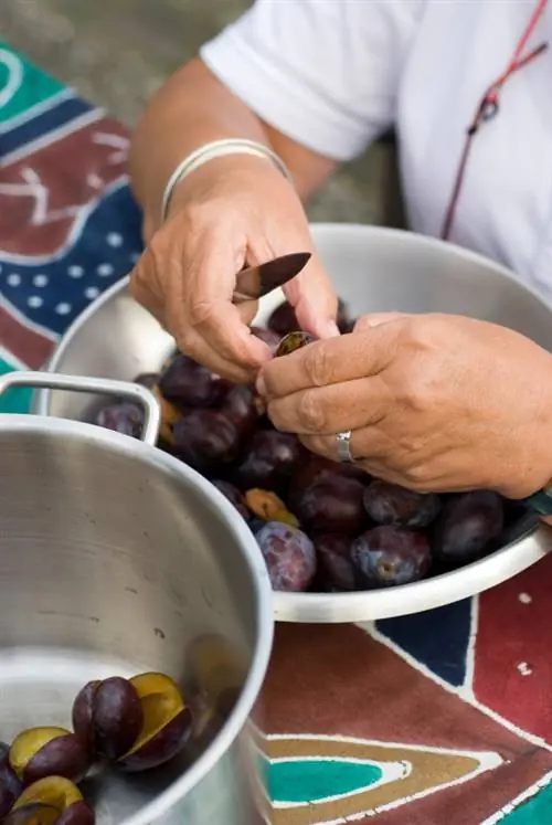 Preserving plums: quick and easy