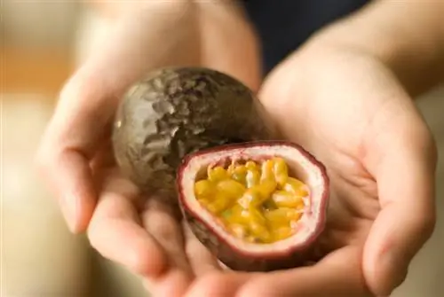 Tangkilikin ang mga hinog na passion fruit: Paano mahahanap ang perpektong prutas