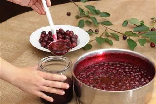 Preserving sour cherries: 4 clever methods presented