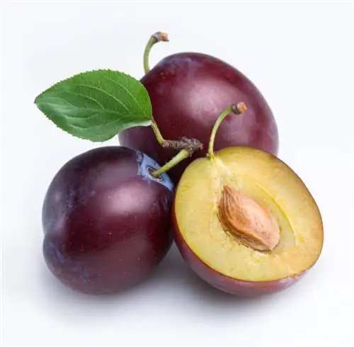 Profil plum