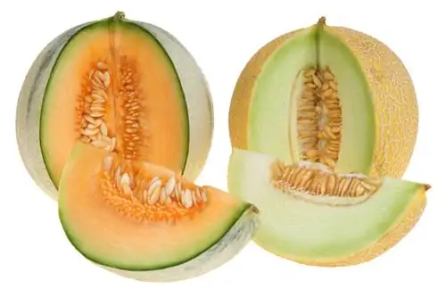 Mga varieties ng honeydew melon