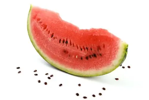 Watermelon seeds: instructions for growing your own