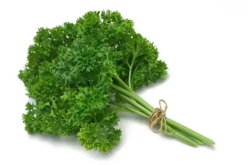 Fertilize parsley