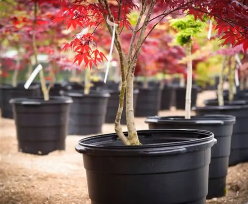 Pote de bordo japonês