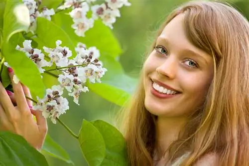 Fii atent! Arborele de trompetă glob este ușor otrăvitor