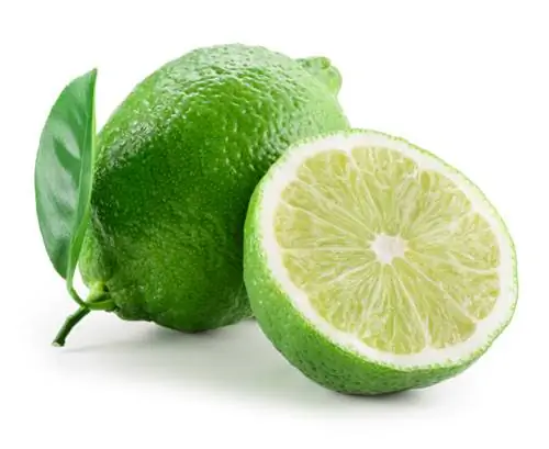 Lime vapno