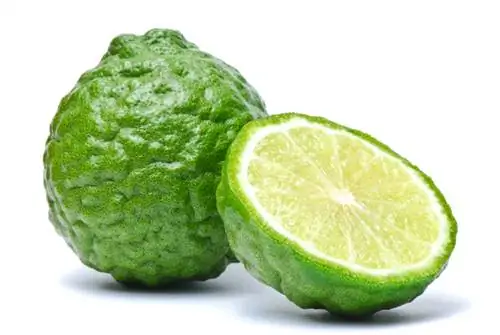 Kaffir lime kielletty