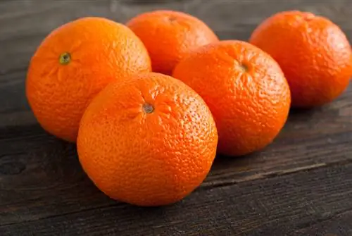 Diferencia entre mandarina y clementina