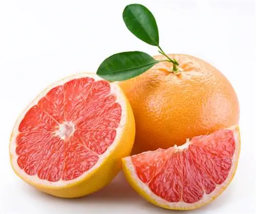 Pomelo zreo