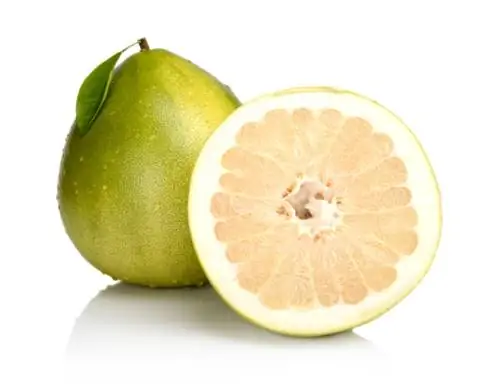 Pomelo o'rim-yig'im vaqti