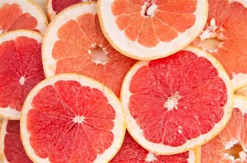 Pomelo šķirnes: garšu atšķirības un daudzveidība