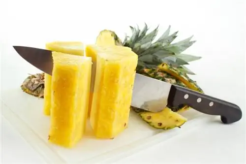 Preserving fresh pineapple: Preserving step by step