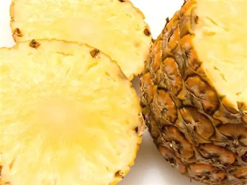 Ananas zrel