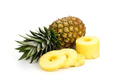 Ananas sitrus meyvəsi