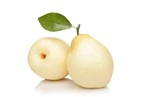 Nashi pear: varieties and their special features at a glance