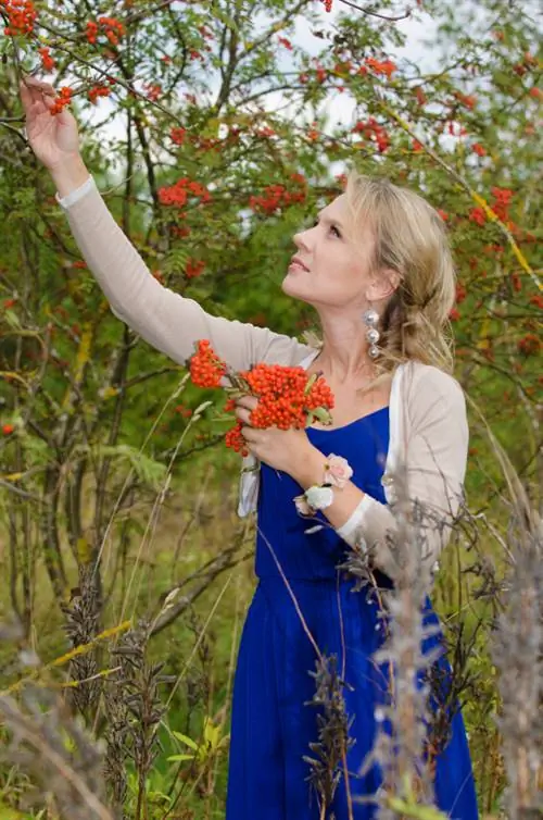 Planting serviceberries: Pay attention to the location, soil and planting time