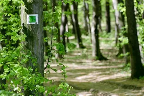 Localização do Serviceberry