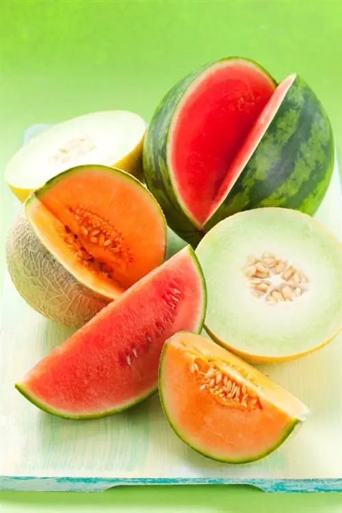 Kukua melon