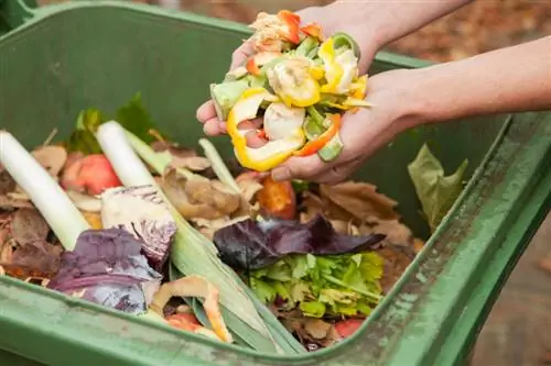 Compost van citrusvruchten