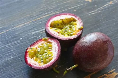 Passion fruit passion fruit