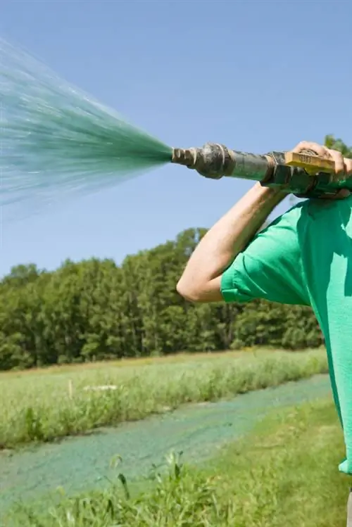 Spraying lawns: Does it really work?