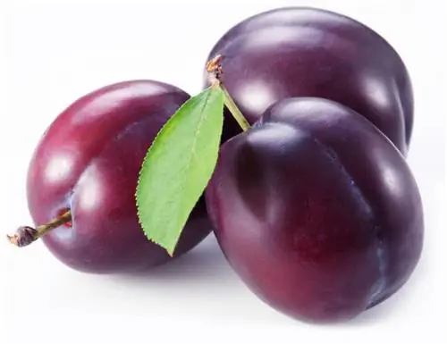 Plum afya