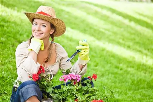 Gupitin nang tama ang mga geranium: mga tip para sa malalagong bulaklak