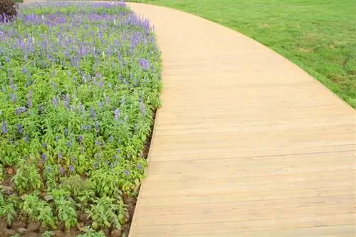 La lavanda se vuelve amarilla.