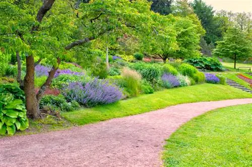 Lavanda in giardino