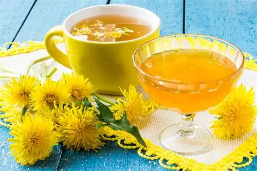 Dandelion tea