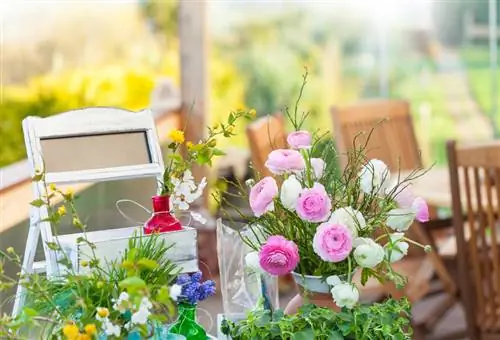 Cortar ranúnculos correctamente: consejos para conseguir flores bonitas