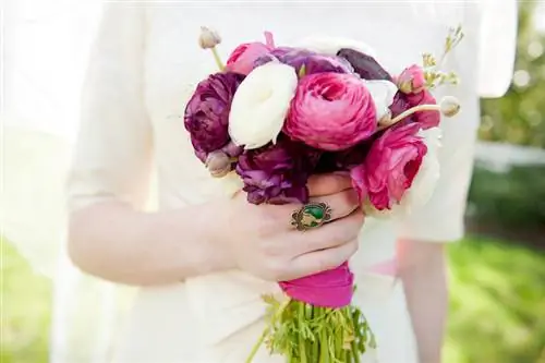 Ranunculus flower language Ranunculus flower language