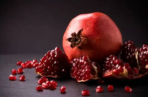 When are pomegranates in season? Cultivation, harvest and storage