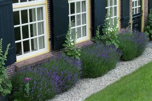 Lavanda en el dormitorio