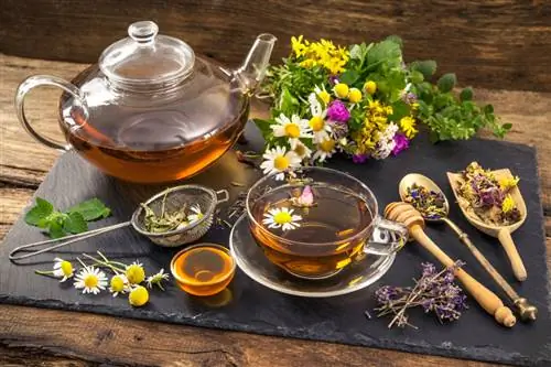 Lavanda en la cocina