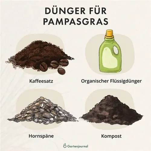 Overzicht van meststoffen voor pampasgras ter illustratie