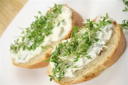 Eating cress: Delicious, he althy and versatile