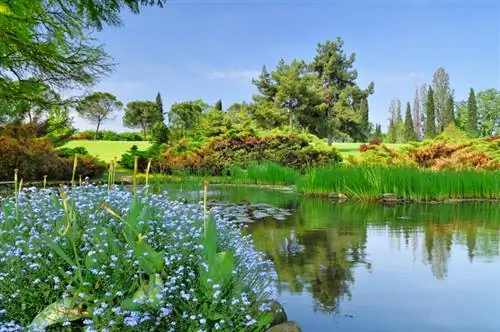 Temukan lokasi ideal untuk orang-orang yang lupa-aku-tidak