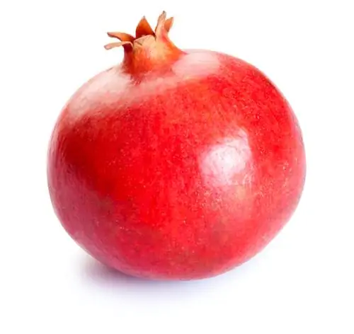 Grow pomegranate