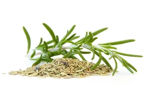 Rosemary: Daun, bunga, dan tips persiapan yang bisa dimakan