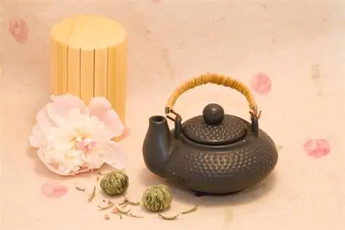 Té de peonia