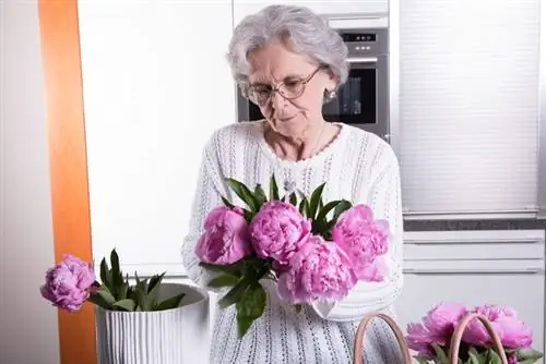 The perfect cut: When and how to cut peonies?