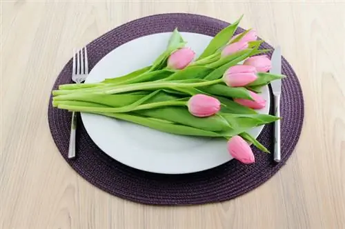 Tulpen: eetbaar, decoratief en heerlijk in veel recepten