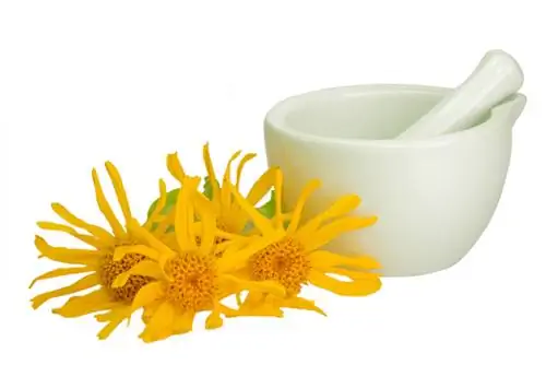 Arnica edible