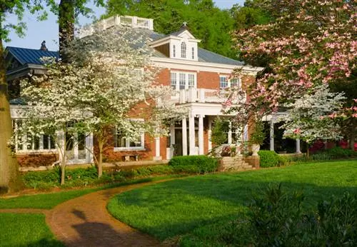 Flower dogwood pests