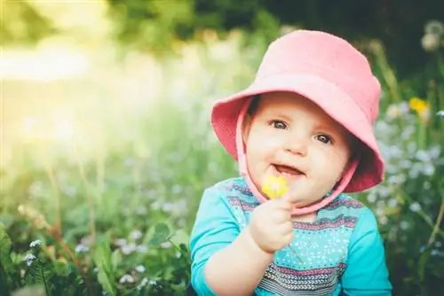 Kova su aštriais vėdrynais: veiksmingi metodai ir patarimai