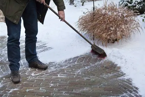 Riete in die tuin: hoe en wanneer moet jy dit saambind?