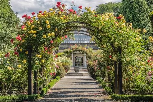 Rose arch support