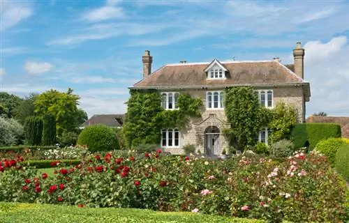 Créer une roseraie : Comment créer un paradis des roses ?