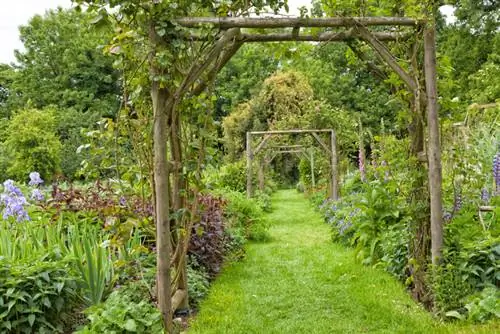 Crea il tuo arco di rose